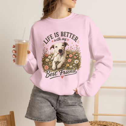 Copy of Sunsets & Sandy Paws Crewneck Sweatshirt – Beach Dog Graphic