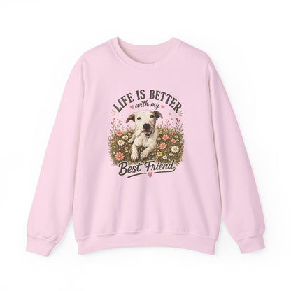 Copy of Sunsets & Sandy Paws Crewneck Sweatshirt – Beach Dog Graphic